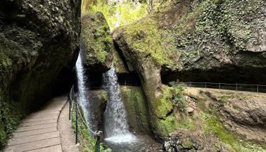 Isabela House - Photo 3