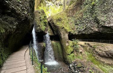 The View House - Foto 5