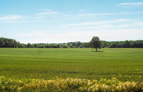 Shepherds Hut Near Exmoor National Park - Foto 76