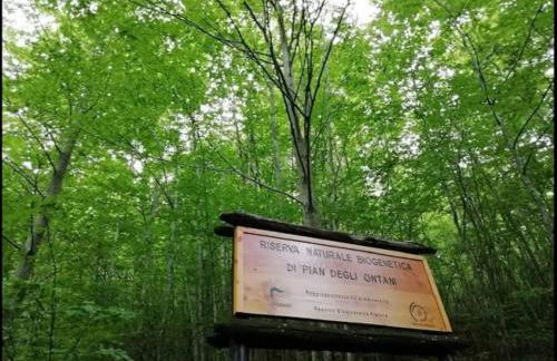 Appartamento Monolocale La mia Casina di Montagna - Foto 25