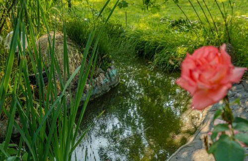 Il Laghetto 3 - Photo 16