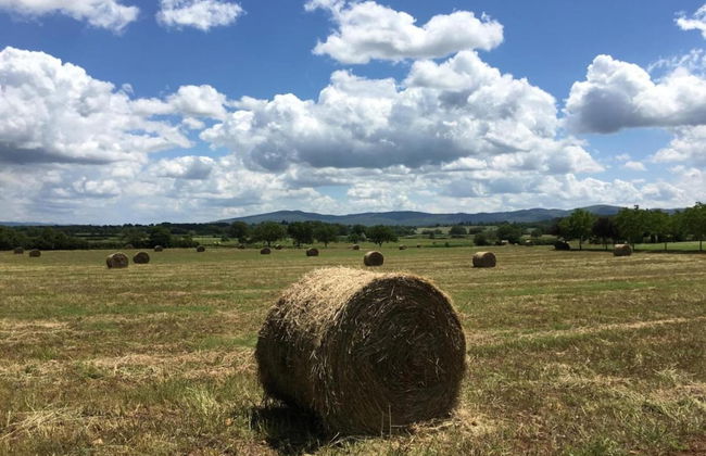 Tuscan Escape for Families - Foto 37