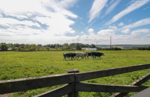 Heron Nest - Foto 21