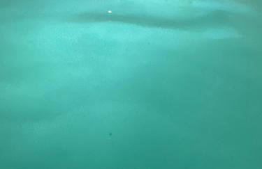 Wine under the Stars - Foto 35