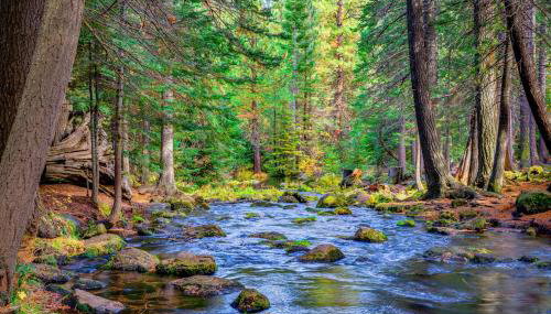 Black Butte Ranch SM79 - Foto 4