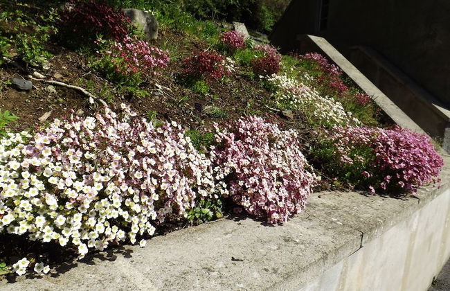 Kingsmills Cottages Moneymore - Foto 21