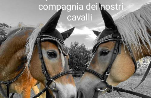 Residenze La Madonnina - Photo 9