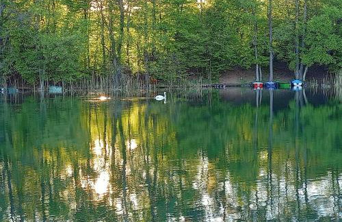 Dom Wakacyjny - Zakątek Marzenie - Foto 41