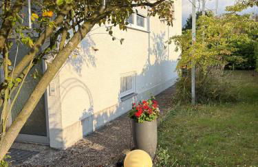 Schöne 2-Zi-Whg Küche Bad Terrasse Parken - Foto 7