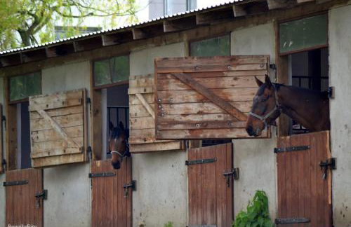Stajnia Lisewo - Foto 10