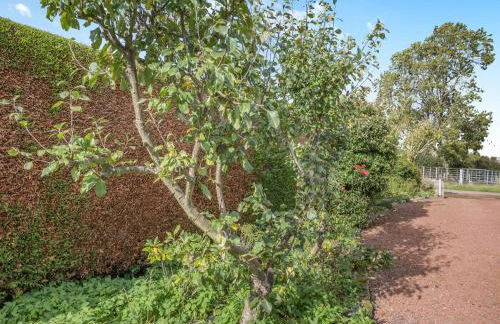 The Hemmel - Foto 15