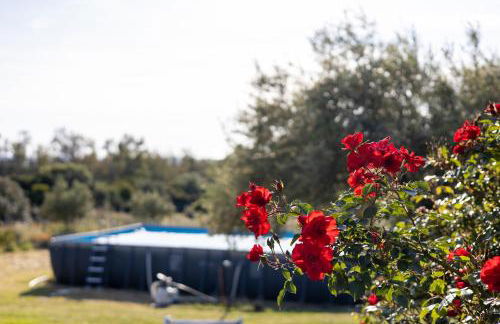 Vivi Natura - Foto 26