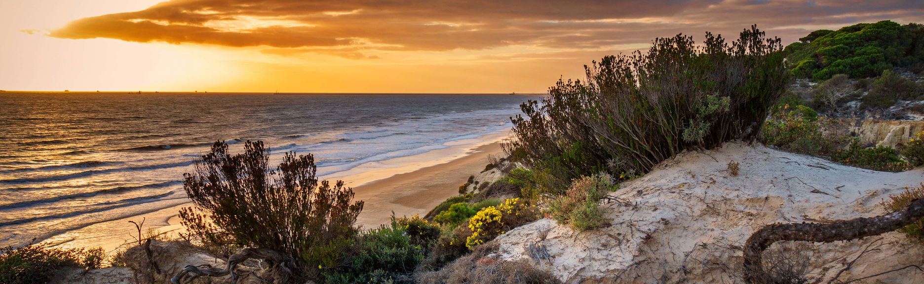 Paseo en barco por la ría de Huelva al atardecer