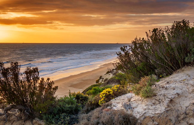 Passeio de barco pela Ria de Huelva ao entardecer - Foto 1