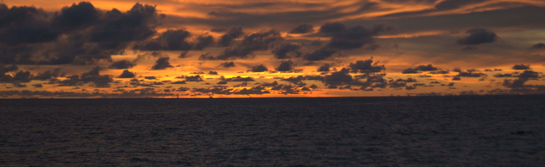 Passeio de barco ao entardecer + Snorkel