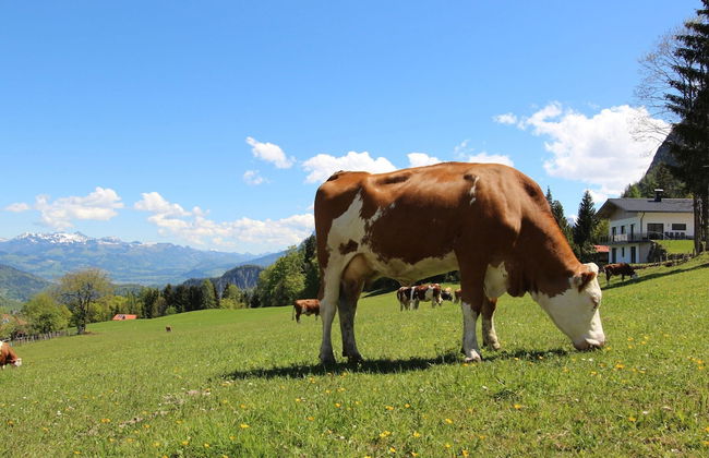 Modern Apartment in Fieberbrunn With Terrace - Foto 35