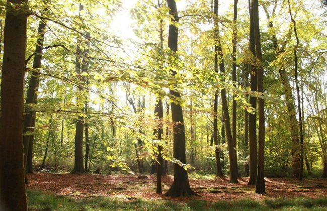 Holiday Apartment Lange - Foto 20