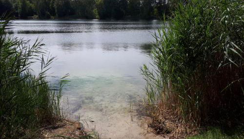 Villa Duck-Dich-Südheide - Photo 2