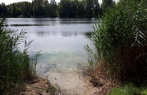 Villa Duck-Dich-Südheide - Photo 2