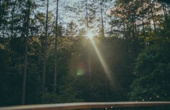 Stunning Catskills Cabin - Photo 6