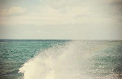 Au Petit Maltot - Foto 22