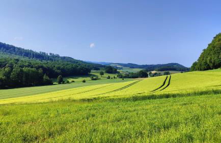 Charmantes Forsthaus beim Sorpesee - Foto 44