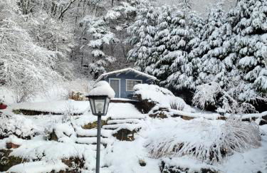 Rez-de-jardin en lisière de forêt - Foto 14