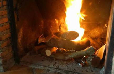 Alojamiento Rural Cuatro Estaciones - Foto 2