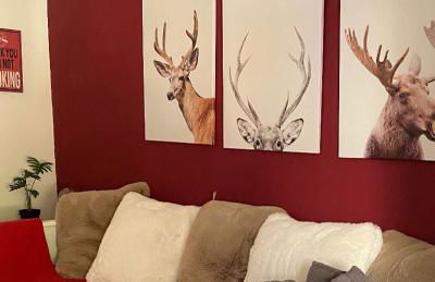 Little Canadian Lodge, Limone - Foto 30