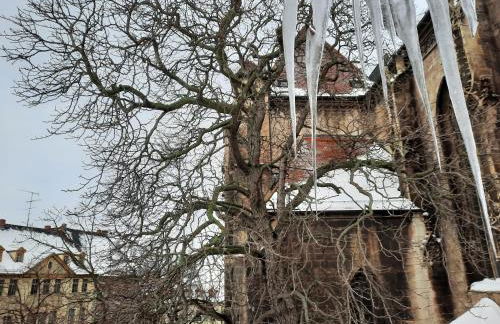 Schulmeisterhaus - Foto 22