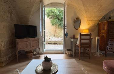 Grand studio sur jardin en centre-ville - Foto 5