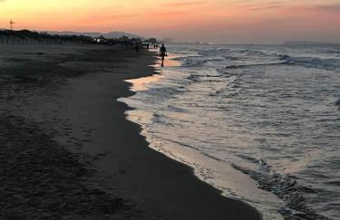 Oliva Sol Apartment - Photo 18