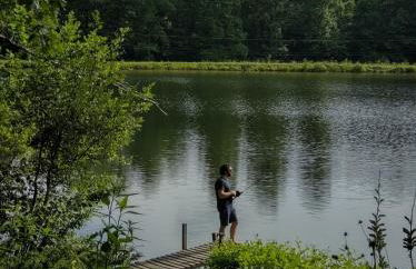 Waterfront cabin in the woods - Foto 5