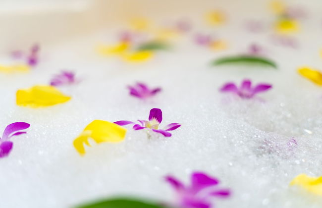 palmvilla ishigakijima karei - Foto 30