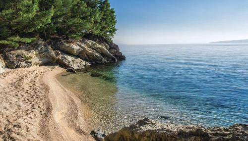 Villa Anči - Foto 5