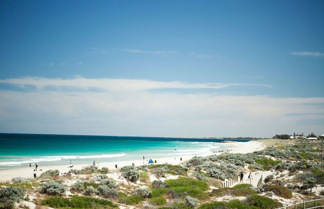 Seashells Scarborough - Photo 55