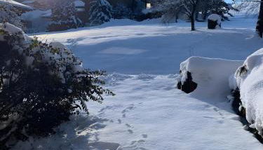 Appt de montagne Araches - Photo 2