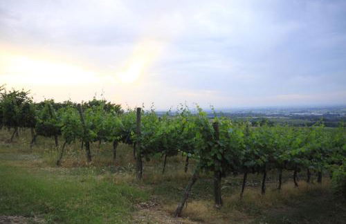 Agriturismo Gaggioli Borgo Delle Vigne - Foto 65