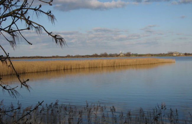 Holiday Home Beach and Nature - Foto 14