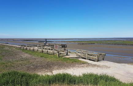 Ferienhaus Hoddebüll nah an der Nordsee - Foto 50