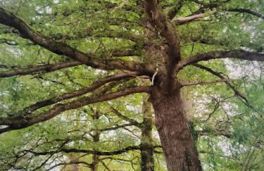 La Glane at Le Maingaud - Foto 34