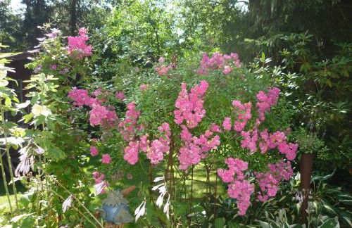 Eggers - gemütliche Ferienwohnung im Erdgeschoss - Foto 13
