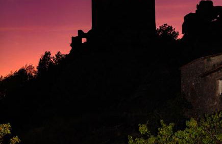 Agua D Estrellas - Foto 15