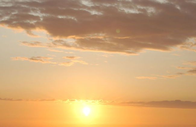 Restyled Chalet With Dishwasher, Near the Sea, on Texel - Foto 19