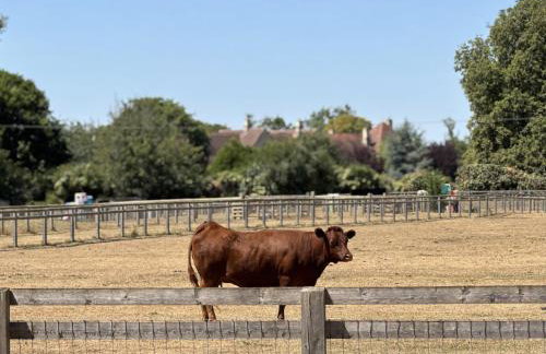 Cosy Cotswolds Cottage Farm Stay - Shepherds Rest - Photo 51