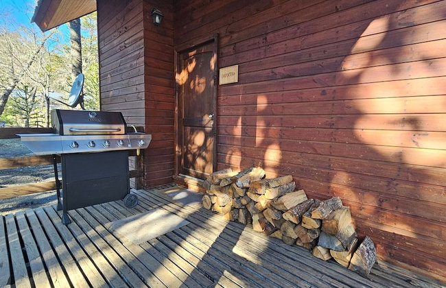 Oceana Suites Corralco - Photo 41