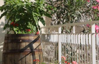 Holiday house with a swimming pool Dubravka, Dubrovnik - 9101 - Foto 14