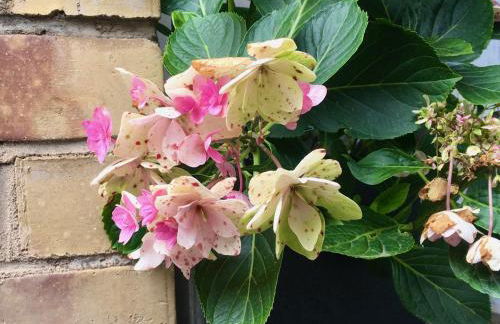 Centre historique terrasse & vue exceptionnelle - Foto 11