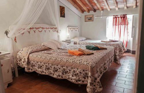 Agriturismo Corboli - Photo 23