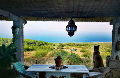 Charming House in El Chaparral - Foto 1